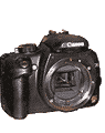 Digitalkameras für die Astrofotografie